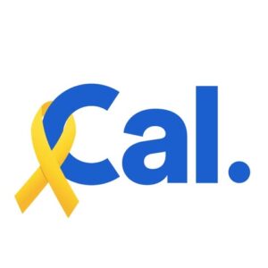 הלוגו של כאל (Cal) סליקה